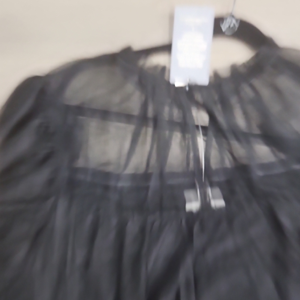 Elegant Black Sheer Ruffled Sleeveless Blouse - Picture 7 of 8